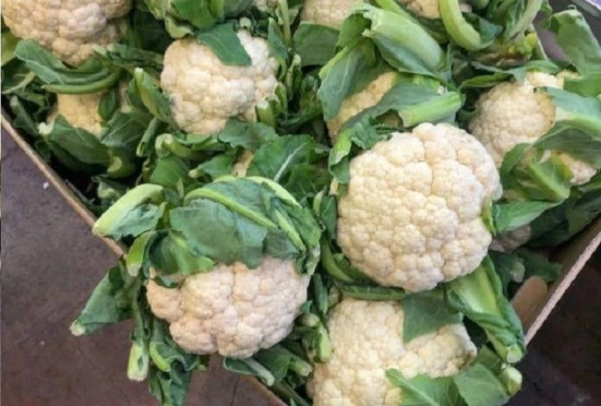 homeagro - Cauliflower Vegetable ( 50 Seeds )