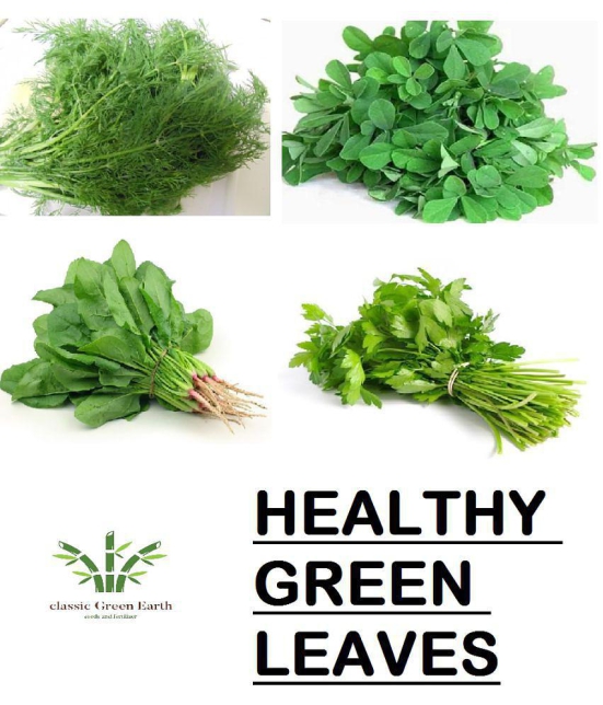 COMO OF HEALTHY GREEN LEAVES SPINACH DILL FENUGREEK CORIANDER SOYA METHI PALAK DHANIYA 500 + SEEDS