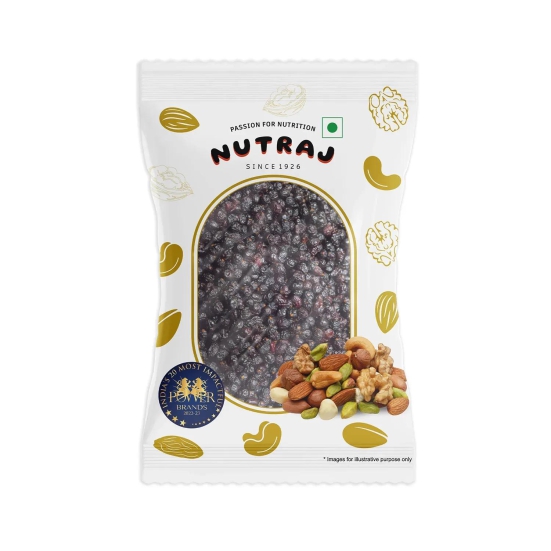 Nutraj Dried Black Currant 100gm 100g