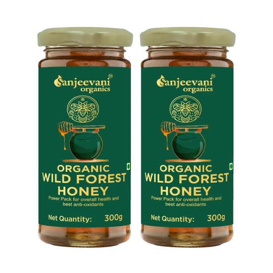 Organic Wild Forest Honey Pack of 2, 600g | Unprocessed, Unpasteurized | Glass Jar Value Pack of 2 (300gx2, Pack of 2)