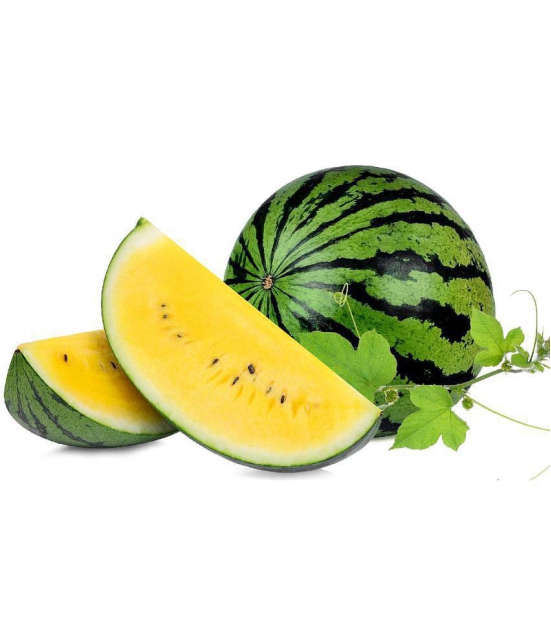 HN organic seed - Watermelon Fruit ( 5 Seeds )