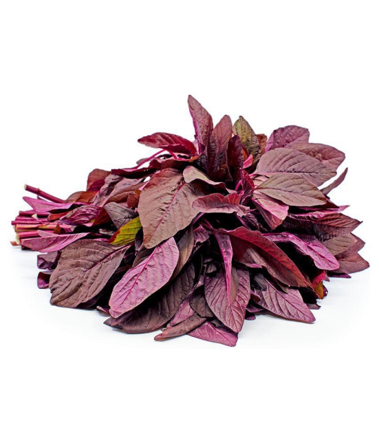 RED AMARANTHUS CHAULAI SAAG SEEDS FOR HOME KITCHEN GARDEN USE WITH MANUAL