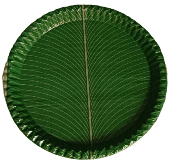 100% Natural Areca Leaf Plates | Disposable and Biodegradable | 12 Inches | Pack of 10