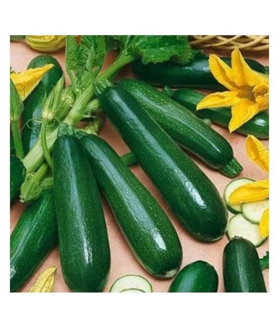 Summer Squash/ Chappan Kadu Organic Vegetable Seeds- 10 Seeds