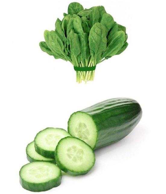 Vegetable seeds palak and cucumber combo pack of 100 Best Quality Premium seeds