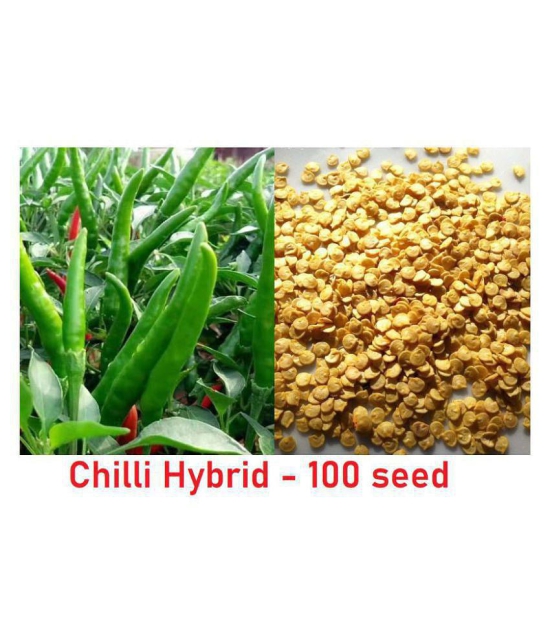 Pepper Chilli Hybrid Bengali Surajmukhi Type Seeds | 100 seeds