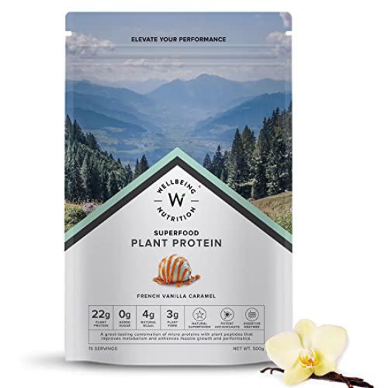 Wellbeing Nutrition Organic Vegan Plant Protein Isolate| Superfoods, Antioxidants, Berry , Digestive Enzymes | 4g BCAA, 3g Fiber for Muscle Repair & Recovery| French Vanilla Caramel - 500gm