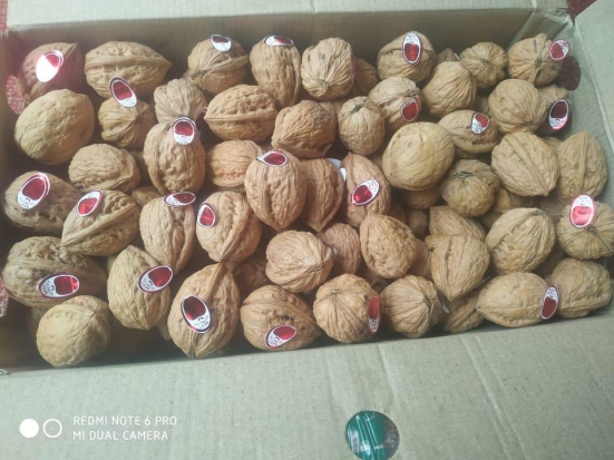 Kashmiri Kagzi One Tree Walnut kernal 1000 gm