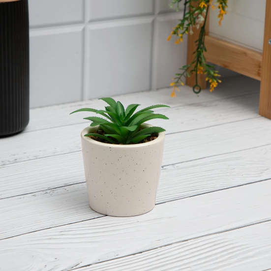 Anko Succulent in Pot Set of 2 - Indoor Planter for Home, Office, Garden, Balcony. Elegant Artificial Plants in Ceramic Pots, Two Sizes.-Anko Succulent in Pot Set of 2 | Indoor Planter for Home,