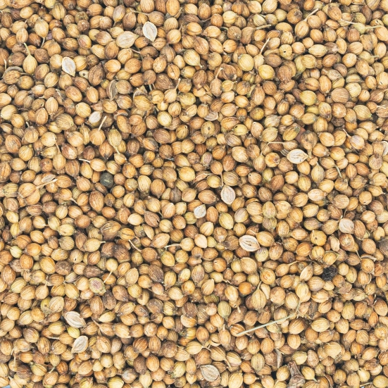 Coriander from West Bengal-50 gm - powder