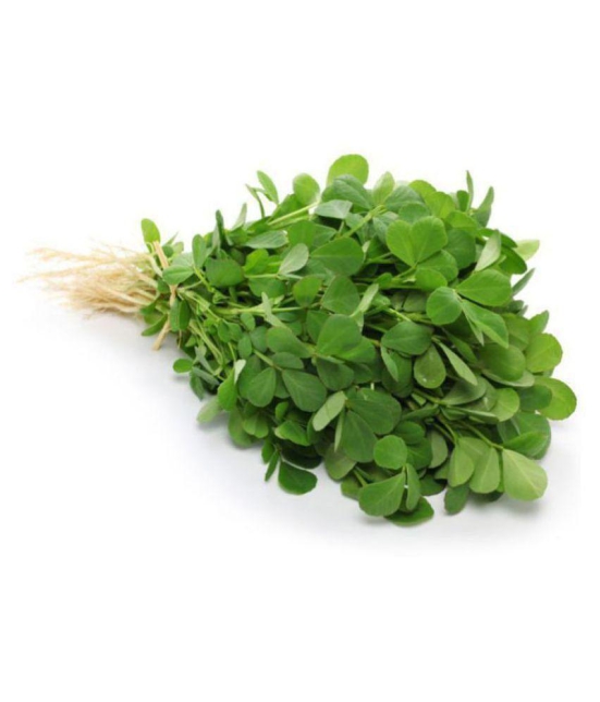 R-DRoz Methi (Fenugreek) Quality Seeds - Pack of 100 Premium Seeds