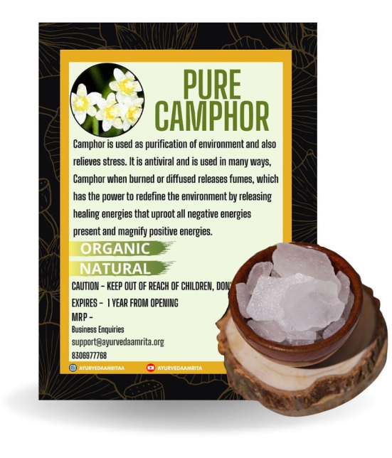 Ayurveda Amrita - Camphor 100 gm ( Pack of 1 )