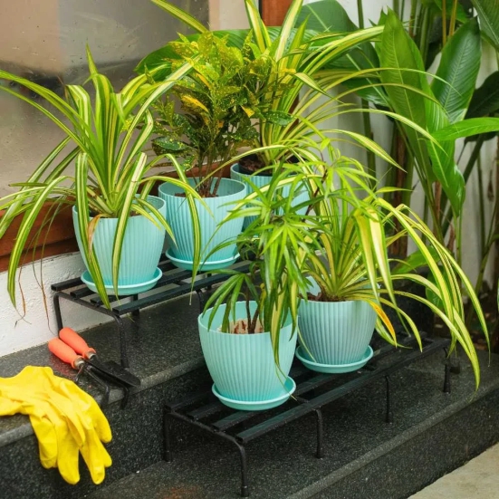 Fluted Dome Plastic Pot with Tray | Set of 5 Mint