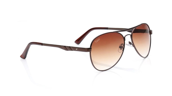 Brown Navigator Sunglasses for Men and Women