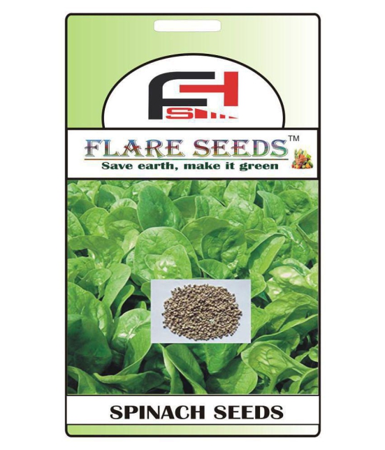 FLARE SEEDS Spinach Green Seeds - 50 Seeds Pack