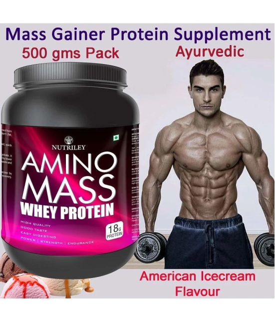 Nutriley Amino Mass Whey Protein ( 500 gm , American Ice Cream - Flavour )