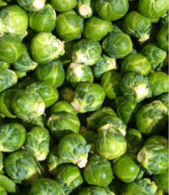 Sprouts - Brussel 250 gms