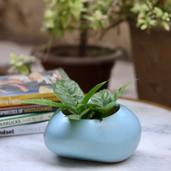 Blue Pebble Planter-Single