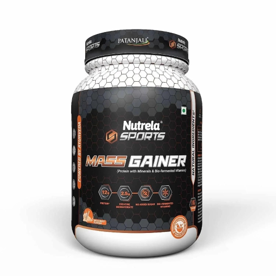 Patanjali Nutrela Mass Gainer-1 kg / Malai Kulfi