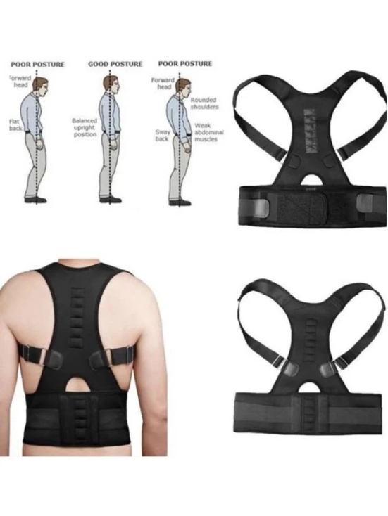 Fitgo Black Back Support ( Pack of 1 ) - XL