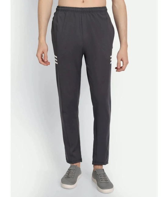 Zeffit - Grey Lycra Mens Trackpants ( Pack of 1 ) - None