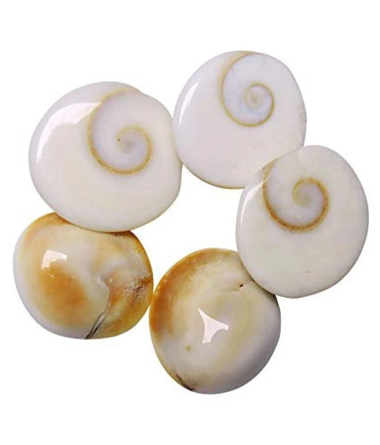 OMLITE - Stone Gomti Chakra (Pack of 1)