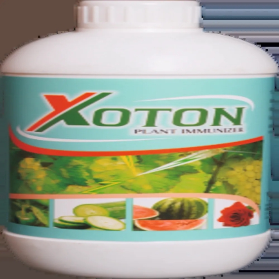 Xoton-1 LTR